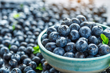 Fresh blueberries background with copy space for your text. Blueberry antioxidant organic superfood in a bowl concept for healthy eating and nutrition