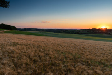 Sunset over the rolling hills in Elkenrade in the of south Limburg in the Netherlands with a spectacular view over the fields, full of wheat and some amazing beams from the sun during golden hour.