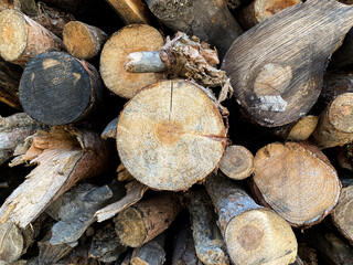 Wall and floor made of wood material, background image.