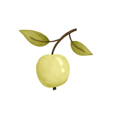 illustration with apple, vegan food, nutrition, diet fruits, cute stylized illustration
