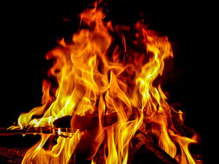 Flames emerging from the blazing woods.