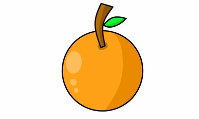 vector illustration, citrus fruit with green branches and leaves isolated on white.