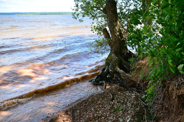 bank of the river with pebble beach and old tree trunk in shadow