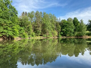 Fototapeta na wymiar Lake with reflections in the water surrounded by trees - See mit Wasserreflektionen, umgeben von Bäumen