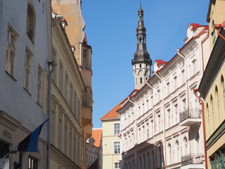 Fototapeta na wymiar The steeple of Tallinn Town Hall and the cityscape of Tallinn Estonia