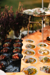 Raw tuna in Korean bean sauce. Seafood starters in sea shells, are a delicacy.