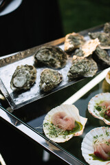 A raw slice of fish served in the shell with green sauce and microgreen, and not opened oysters on the plat in the background.