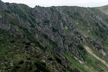 Fototapeta premium Chornohora Ridge in the mist