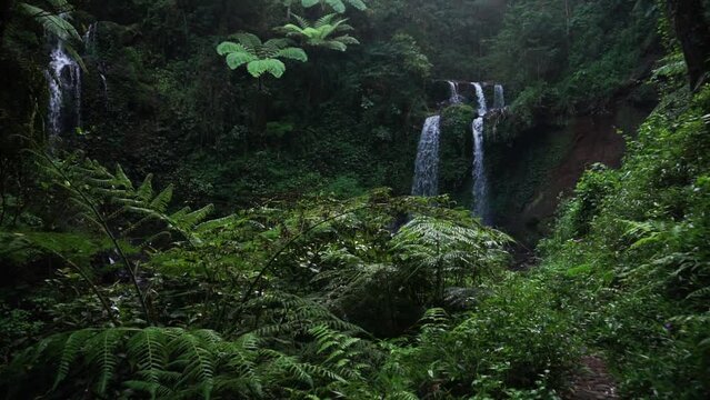 Wide shot of falling waterfall surrounded by deep flora and fauna jungle in Asia - Beautiful exotic and tropical rainforest landscape