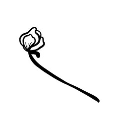 Illustration with peony flower isolated on white background. Hand drawn line art ink and peonies in graphic style. Feminine tattoo sketch, spring floral blooming, black and white