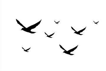 Flock of birds. Silhouette flying bird background Free Vector 