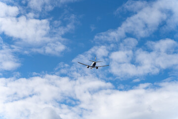 Planein flight
