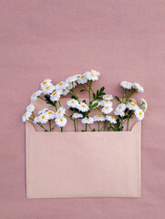 Minimalistic cute postcard with a bouquet of lush white daisies.