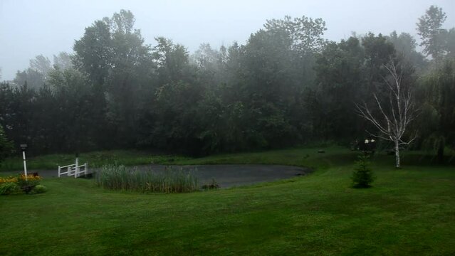 Heavy rain in garden with a pond.