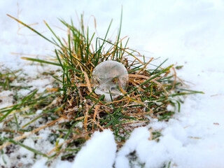 Frozen soap bubble in the snow