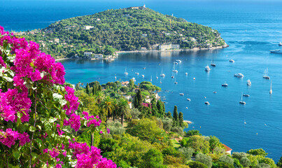Summer holidays background rhododendron flowers Mediterranean sea