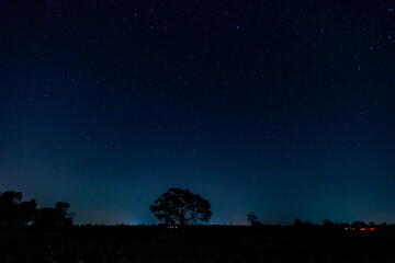 Stars in the sky.
Blue night panorama, milky way sky and stars on dark background, universe full of...