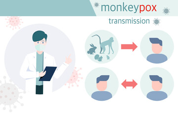 Infographic of Monkeypox virus infection, animal-to-human transmission.  and human-to-human transmission , vector illustration