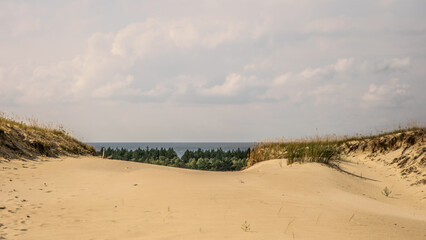 Sand dunes and beach with sea in the horizon