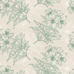 Vintage seamless pattern for textiles, fabric, wallpaper decoration, paper. Flowering twig of Philadelphus or Jasmine shrub. Handmade graphics engraved ink art. Victorian style. Lithograph background.