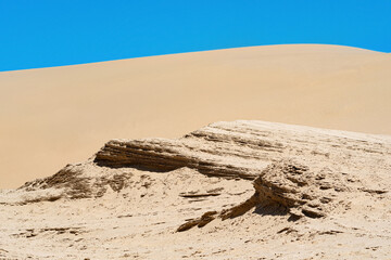 Fototapeta na wymiar lithified sand deposits on the background of a sand dune in the desert