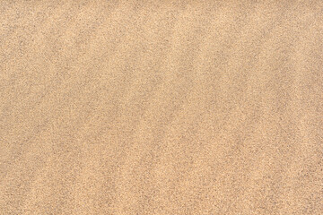 Fototapeta na wymiar background - yellow sand desert closeup