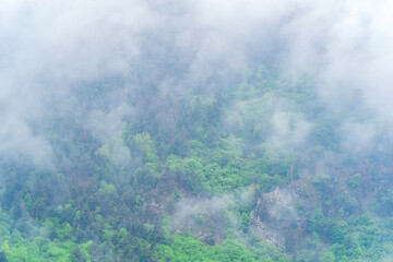 Fototapeta premium aerial view of the rain forest canopy, barely visible behind the fog