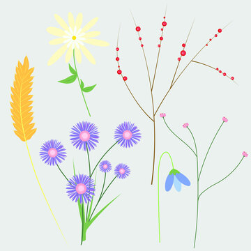 bouquet of summer flowers. Vector graphics