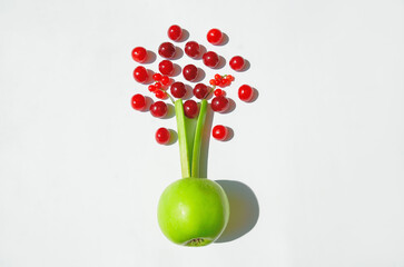 Fruit tree composition of apple, red currant, cherry and rhubarb stem on white background. Creative summer fruit idea with free space for text.