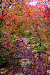 京都嵐山の紅葉