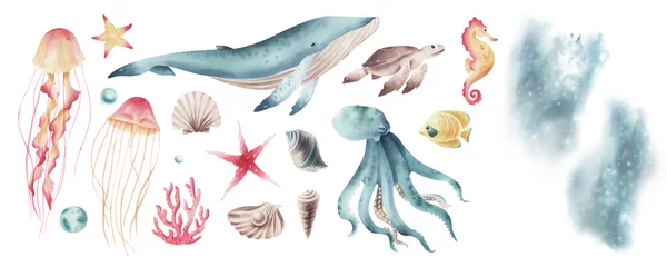 Cercles muraux Vie marine Set of watercolor marine illustrations with sea animals isolated on transparent. Watercolor marine life isolated. Hand painted set with whale.