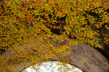 京都南禅寺の紅葉