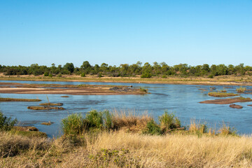 Fototapeta na wymiar Riviere Olifants, Parc national Kruger, Afrique du Sud