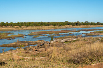 Riviere Olifants, Parc national Kruger, Afrique du Sud