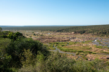 Fototapeta na wymiar Riviere Olifants, Parc national Kruger, Afrique du Sud