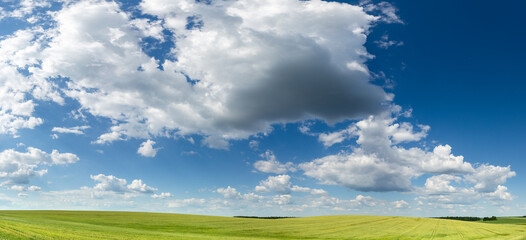 Blue Sky Over A Field Sown With Cereals