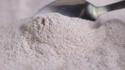 macro plan on a spoon with sprouted flour with a blurred foreground