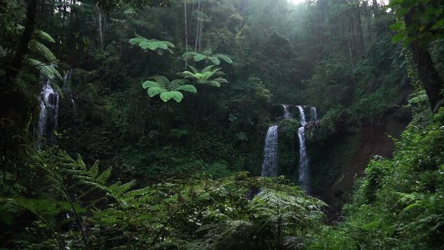 Wide shot of falling waterfall surrounded by deep flora and fauna jungle in Asia. Dense trees of forest - Beautiful exotic and tropical rainforest landscape