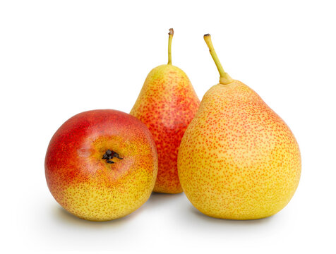 three pear on white