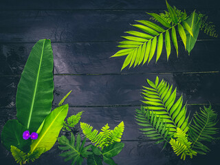 tropikalne liście z dżungli na drewnie