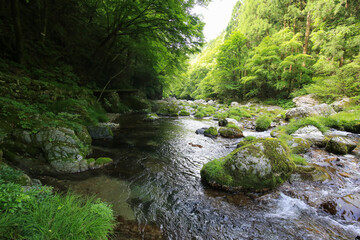 愛媛県内子町　小田深山渓谷　深山荘周辺の風景