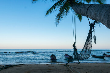 alone coconut tree with sea background