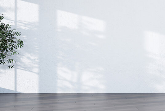 Abstract white studio background for product presentation empty room with shadows of window and flowers and palm leaves 3d room with copy space summer concert blurred backdrop.