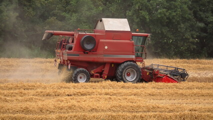 Fototapeta premium Mietitrebbia vintage al lavoro, mietitura del grano, Emilia Romagna, Italia