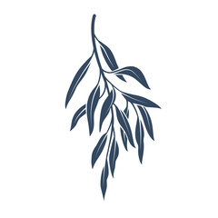 Willow branch. Illustration of green twig with leaves. Flat vector illustration. © Lili Kudrili