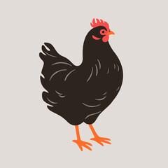 Illustration of chicken. Contour vector illustration.