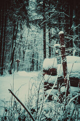 Droga, zima, winter, way, road