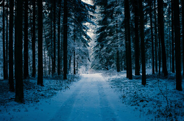 Droga, zima, winter, way, road