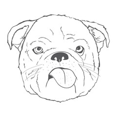 Dog hand drawing pattern. French bulldog vector cartoon wallpaper.
