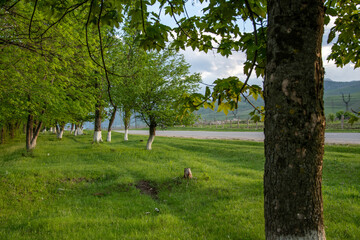 Obraz premium View of the road to the mountains and fenced fields